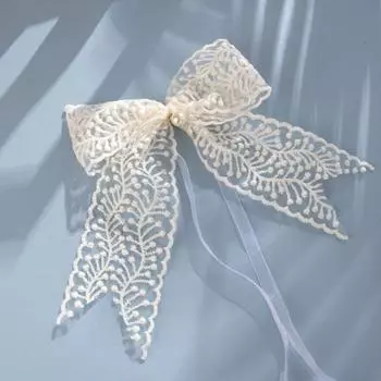 2Pcs/set simple Curtain Tieback Clip Tied Belt Window Curtain Buckles Living Room Home Decor 9