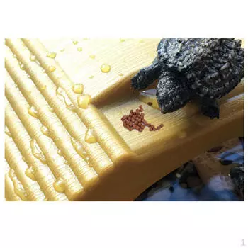 2шт рептилия черепаха греющаяся лягушка пирс отдыха рампа лестница аквариум 2