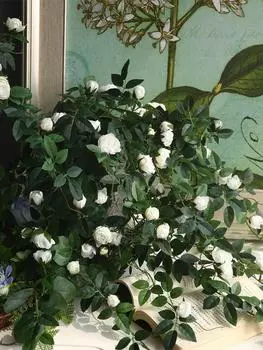 2шт шелковая цветочная гирлянда плющ искусственный подвесной цветок розы зелень искусственная цветочная лоза с ветками для стены дома комнаты сада свадьбы арка украшение белый