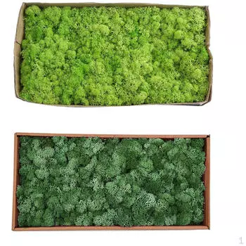 2x искусственная консервированная зелень северного оленя