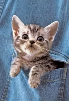 300 Piece Aim Puzzle Master in the Pocket! (26x38cm)