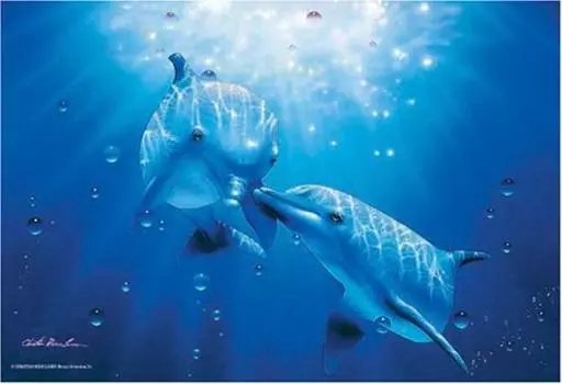 300 piece crystal dolphin