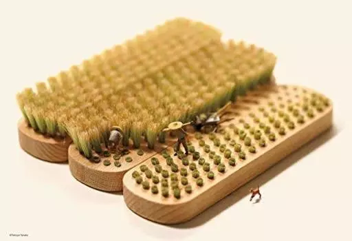 Пазл из 300 деталей, сельская местность, кисть x (26 38см)