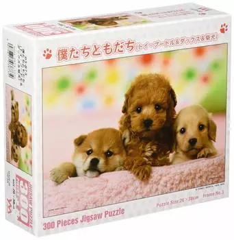 300 Piece Jigsaw Puzzle Our Friends Poodle Dachshund Shiba (Toy & & Inu) (26x38cm)
