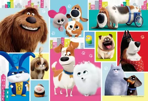 300 Piece Jigsaw Puzzle PET2 Pet 2 Friends (26x38cm)