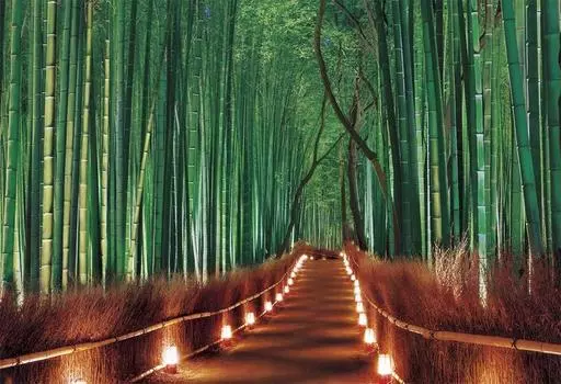 300 Piece Jigsaw Puzzle Puzzle Master Sagano Bamboo Grove Light Up Kyoto Aim! - (26x38cm)