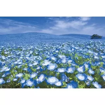 300 piece jigsaw puzzle Sky Connecting Hill (Ibaraki) (26x38cm)