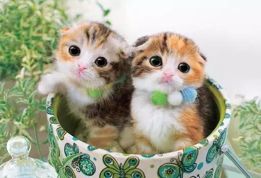 300 piece jigsaw puzzle Staring cat (26x38cm)