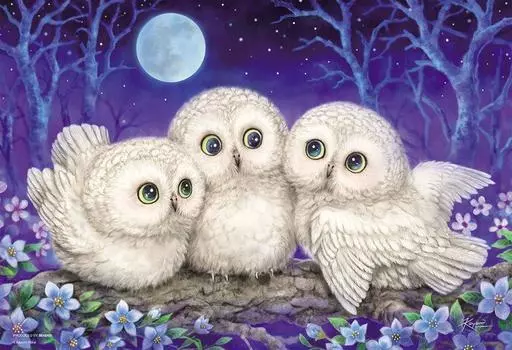 300 Piece Jigsaw Puzzle Whisper of the Forest x ~Owl Triplets~ (26 38cm)