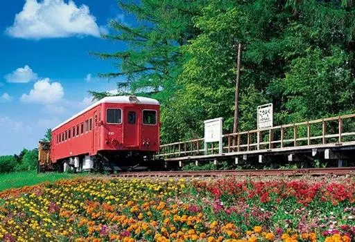 300 Pieces Puzzle Master Series Happiness Station that Brings Happiness Aim! (26x38cm)