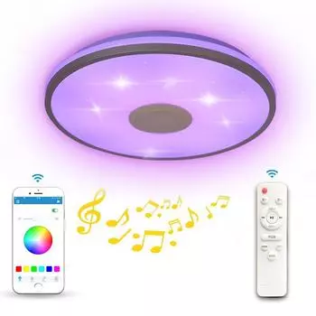 30/33CM Smart Bluetooth Music Light APP Modern Simple Framed Study Bedroom LED Ceiling Light [narrow voltage]