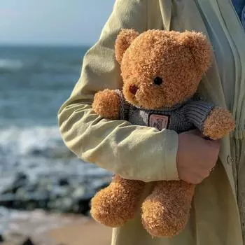 30-38 см плюшевый мишка мягкие игрушки плюшевые игрушки куклы свадебный праздник тканевые куклы подарок на день рождения и Рождество 30cm