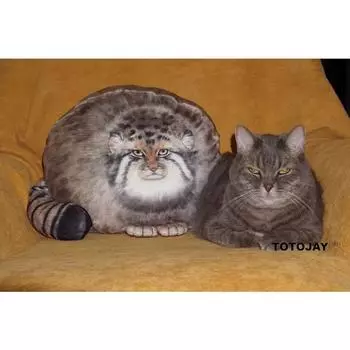 30/40/50 см имитация диких животных Отоколобус Манул кукла подушка супер мягкая мягкая игрушка для кошек подушка хороший подарок на день рождения 30cm