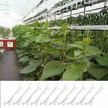 30 шт. крючки для томатов, зажимы для поддержки растений, нержавеющие, устойчивые к коррозии, не легко деформируются, многоразовые вьющиеся растения, крючки для держателей томатов зелёный