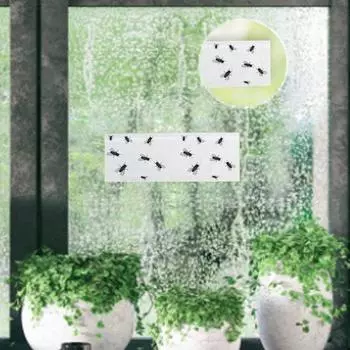 30 шт. ловушки для фруктовых мух в помещении, оконные ловушки для мух, прочная клейкая бумажная ловушка для мух, липкие ловушки, эффективные клеевые ловушки для вредителей 30PCS