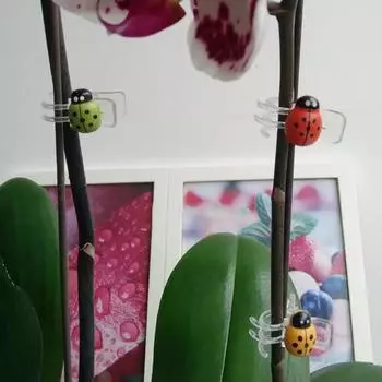 30 шт./пакет зажим для стебля орхидеи креативный прочный пластиковый многофункциональный зажим для поддержки растений для сада