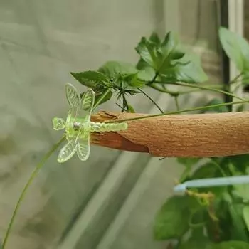 30 шт. полезных экологически чистых легких зажимов для поддержки растений, красочных стрекоз, садовых принадлежностей для дома C