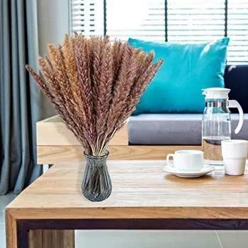 30 шт. сушеные растения, пушистые, привлекательные, 2 цвета, отличные искусственные сушеные травяные растения для домашнего использования