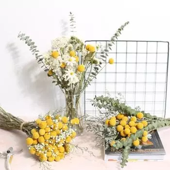 30 шт сушеных желтых цветов натуральные сухоцветы краспедия, желтые шары Билли Баттонс букет для домашнего декора фото реквизит свадебное украшение своими руками жёлтый