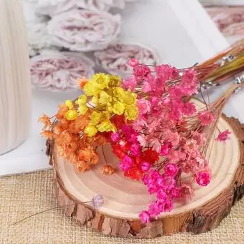30 шт. сушеный букет, не увядающий, устойчивый к УФ-излучению, не выцветающий, практичный, натуральный, с сохранением растений, цветочные принадлежности для вечеринок