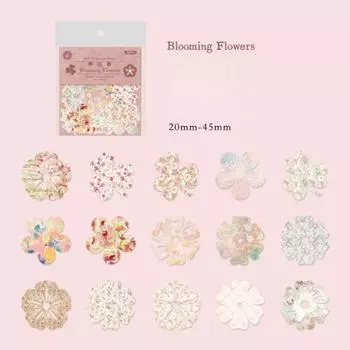 30 шт./уп. Пакет материалов «Луна», полый кружевной материал, цветок, ретро-рамка, коллажный материал, для блокнота style 4