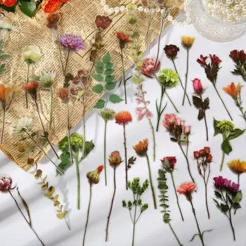 30 шт. выбрать цветок оставить сделать гербарий стиль ПВХ наклейка Скрапбукинг DIY подарочная упаковка печать этикетка украшение бирка жёлтый