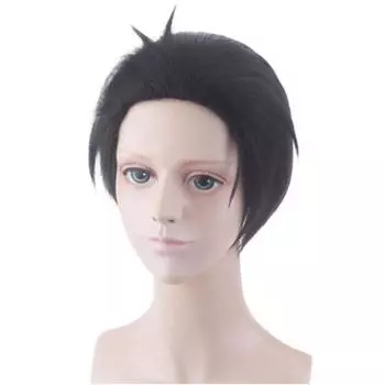 30 см короткий парик для косплея, истребитель демонов Kimetsu no Yaiba Gyoumei Himejima Kyoumei, костюм, термостойкие синтетические волосы, мужские парики One Size чёрный