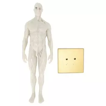 30 см Мужская анатомическая модель Художественный манекен Скелетно-мышечная структура Скульптура Модель тела