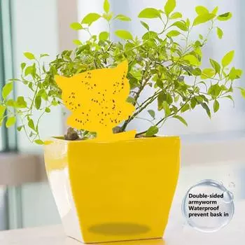 30шт липкие ловушки водонепроницаемые прочные клеевые полипропиленовые двухсторонние мухоловки для сада 9