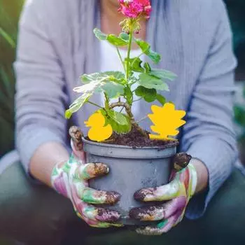 30шт липкие ловушки водонепроницаемые прочные клеевые полипропиленовые двухсторонние мухоловки для сада 9