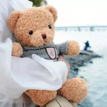30см40см плюшевый свитер медведь игрушки куклы куклы милый нарядный медведь подарок на день рождения успокаивающий сон