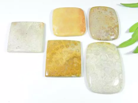 336Cts Natural Fossil Coral Octagon Cabochon Loose Gemstone 5Pcs Lot 31-47MM RQ-1255