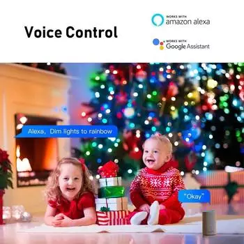 33 лампочки WiFi BLE Globe Fairy Lights Уличная гирлянда RGB Festoon Party Garden Wedding Decor LED String Lights Alexa Google Voice