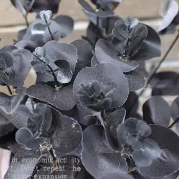 34 см черный эвкалипт искусственные цветы для украшения комнаты настольные цветы