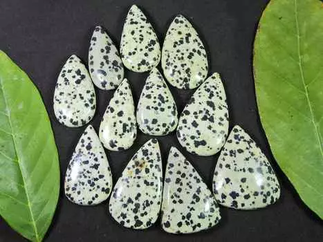351Cts. AAA Natural Dalmation Pear Cabochon Loose Gemstone 11Pcs Lot 34-36MM RQ-1460