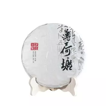 357 г Мятный пруд Пуэр Сырой чайный пирог Юньнань Иу Чайный торт-пуэр с древним деревом