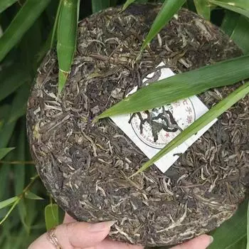 357 г Сырой чайный пирог Юньнань Пуэр 2023 Панда Биндао Сырой чайный пирог Пуэр Чай Пуэр