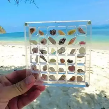 36/64/100 Раковины Акриловая Прозрачная Магнитная Коробка Для Хранения Витрина Для Витрины Ракушек Мини-Витрина Для Ювелирных Изделий Органайзер Дропшиппинг