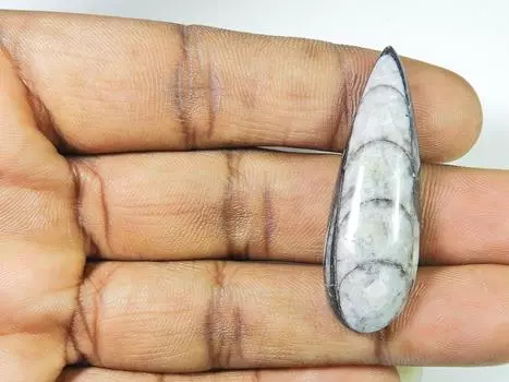 37Cts. Натуральный ископаемый ортоцерас дизайнерский грушевидный драгоценный камень россыпью 14X45X07 мм SK-1006