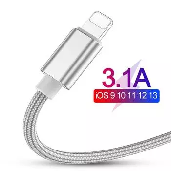 3.1A USB-кабель для быстрой зарядки для iPhone XS Max XR X 8 7 6 6S 5 5S iPad шнур кабель для мобильного телефона кабель для быстрой зарядки данных 0.25M серебряный