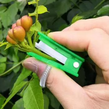 3/5/10 шт садовый нож для большого пальца сборщик фруктов из нержавеющей стали палец садовый резак инструмент для обрезки листьев для фруктов и овощей 3pcs
