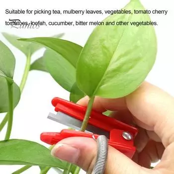 3/5/10 шт садовый нож для большого пальца сборщик фруктов из нержавеющей стали палец садовый резак инструмент для обрезки листьев для фруктов, овощей, цветов 3pcs