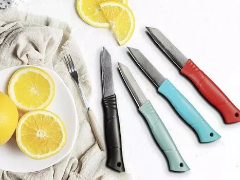 3-дюймовый нож для очистки овощей, 67 слоев дамасской стали VG10, стальной сердечник, острый универсальный нож для чистки овощей и фруктов, бытовой инструмент Canivetes