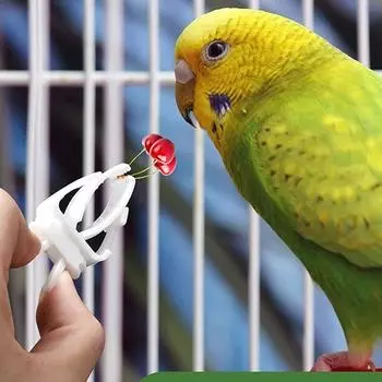 3 Packs Bird Fruit Holder Parrot Vegetable Treat Feeder Durable Plastic Clips Cage Accessories for Parakeets Hamsters