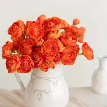 3 пучка длинных стеблей ранункулюсов, искусственных цветов камелии для свадеб, вечеринок и домашнего декора, идеально подходят для цветочных композиций и центральных композиций 3 Bunches белый