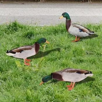 3 шт. акриловые утиные колья, милая имитация зеленой головы утиного двора, знак «сделай сам», декоративный двусторонний уличный газон 3pcs