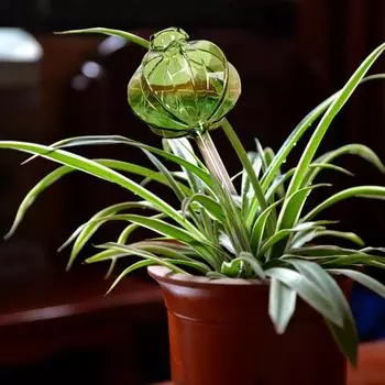 3 шт., автоматические лампочки для полива растений, стеклянные самополивающиеся шары, радужные, инструмент для самостоятельного полива растений, инструмент для полива растений в помещении и на открытом воздухе зелёный