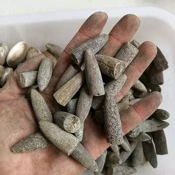 3 шт. Белемнит Природные палеонтологические ископаемые образцы Натуральный камень-стрела Ископаемые образцы