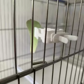 3 шт. держатель для еды для маленьких домашних животных, зажим для попугаев, фруктов и овощей, устройство для подачи костей каракатицы, зажим для клеток для птиц, аксессуары Oiseaux белый