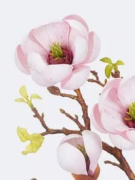 3 шт. искусственных цветов искусственный цветок магнолии EVA для реквизита для фотосъемки свадьбы в помещении на открытом воздухе дома украшение гостиной шампанского